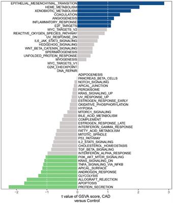 Coronary artery disease-associated immune gene RBP1 and its pan-cancer analysis
